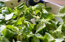 feltsalat-persille-pamesan