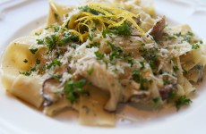 Pasta-svampe