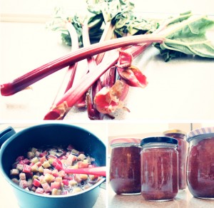 rabarbermarmelade