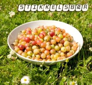 Stikkelsbær marmelade